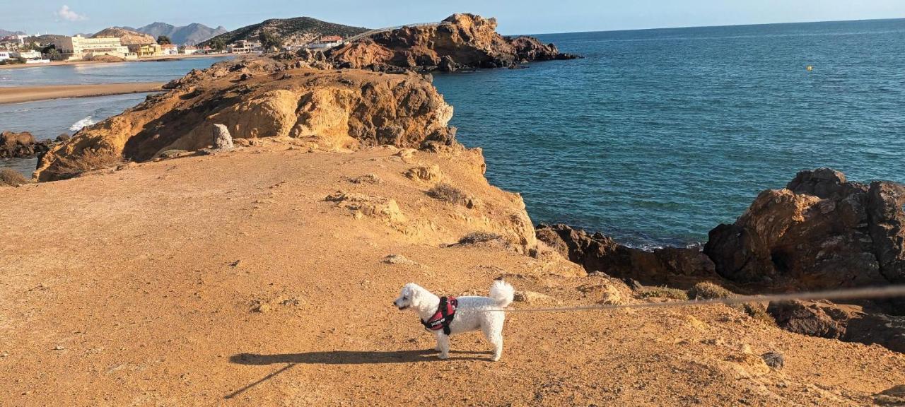 Вілла Sunrise Den, A Pie De Playa, Vista Al Mar Y Piscina Пуерто-де-Масаррон Екстер'єр фото